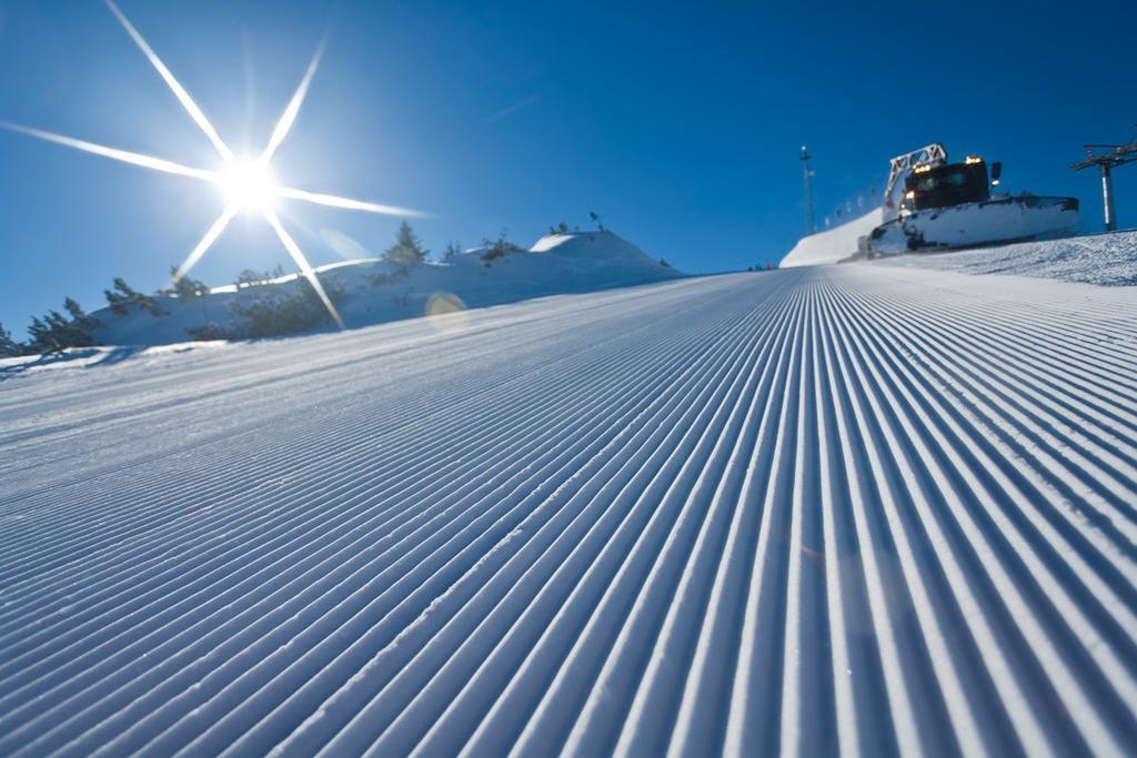 Haus Alpina Ski In & Ski Out シュラートミンク エクステリア 写真
