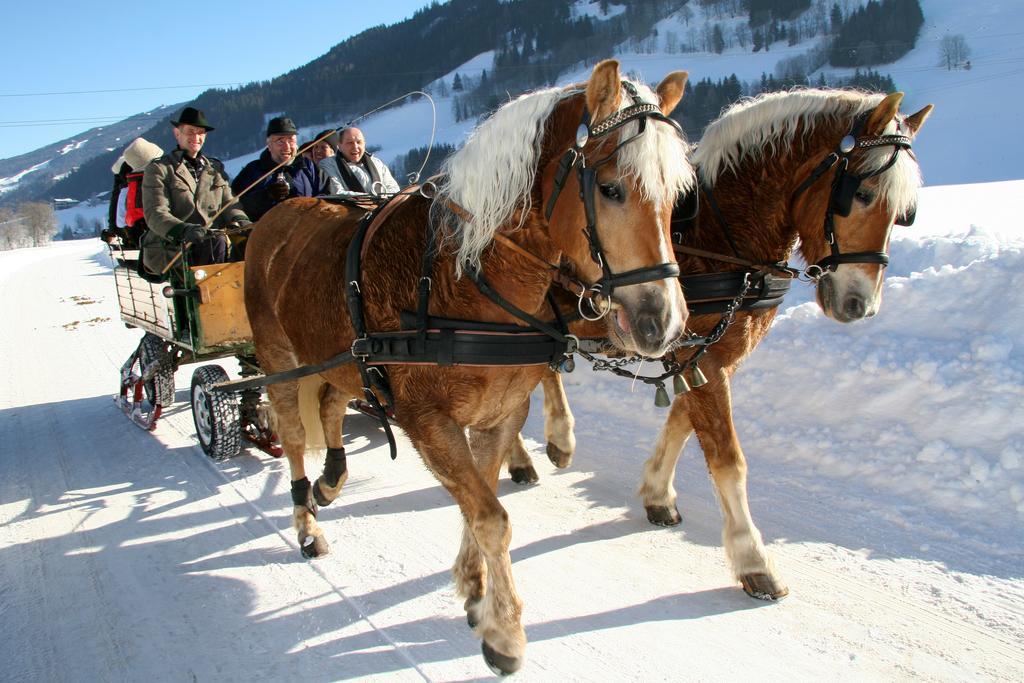 Haus Alpina Ski In & Ski Out シュラートミンク エクステリア 写真