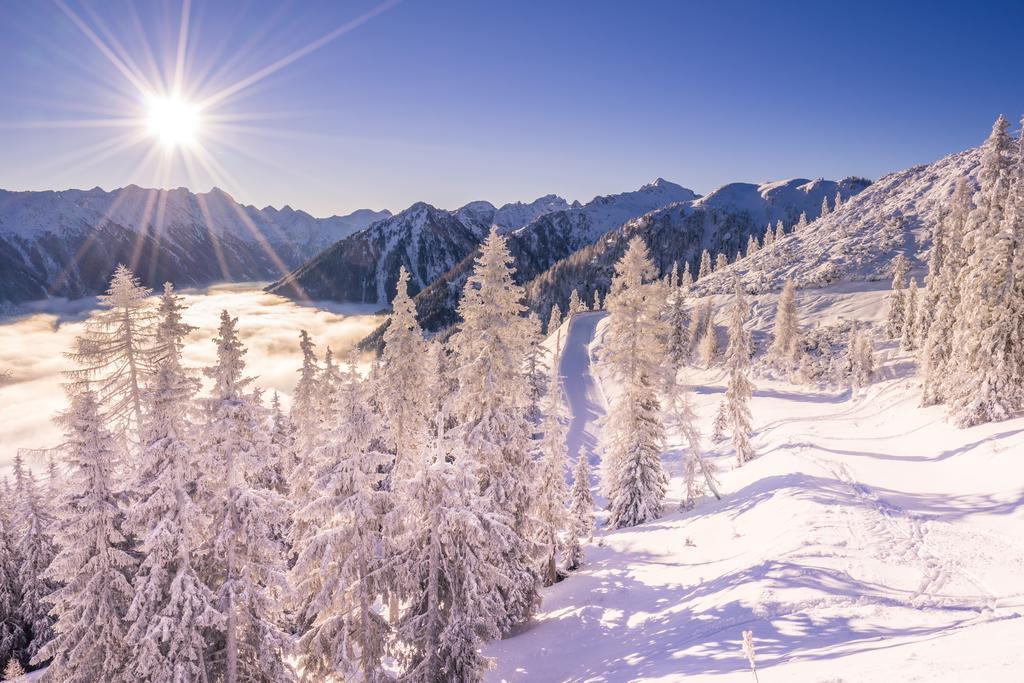 Haus Alpina Ski In & Ski Out シュラートミンク エクステリア 写真